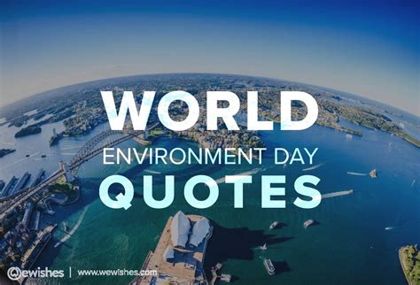 For this world environment day 2021, the unep (united nations environment programme) have published a practical guide for ecosystem restoration. World Environment Day Quotes and Slogans, Poster, Theme ...
