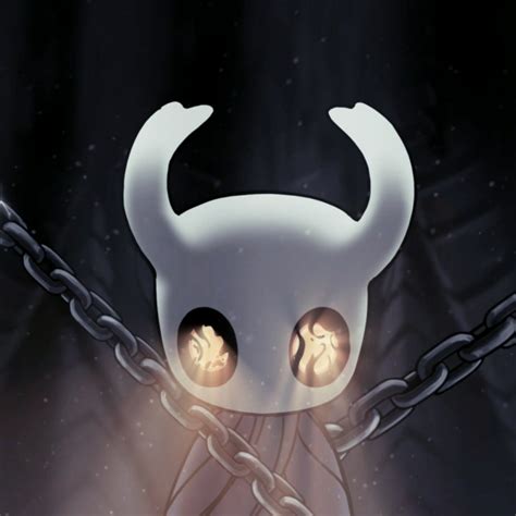 Download Video Game Hollow Knight Pfp