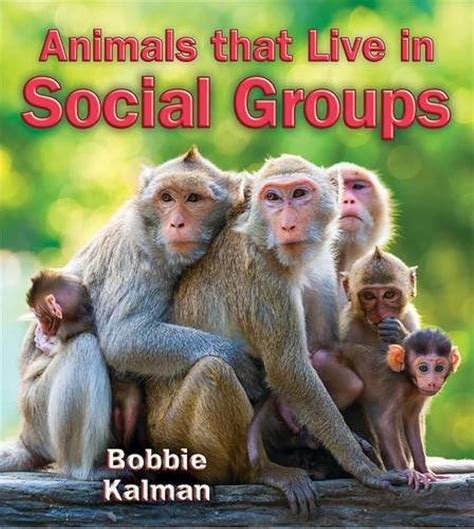 Top 157 Animals That Live In Groups