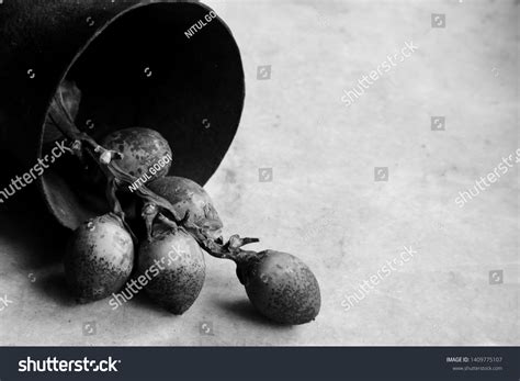 Betel Nut Inside Old Iron Mortarpestle Stock Photo 1409775107