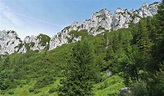 Schöne Wege an der Kampenwand: Wandern am berühmtesten Chiemgauer Berg