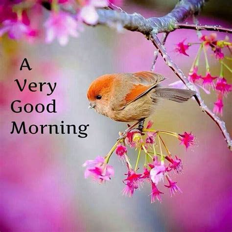 Make your today productive so you can be ready for send good friendship messages, wishes and quotes right at the start of the day and surprise them. Good Morning Wishes Quotes for best friends - Best Morning ...