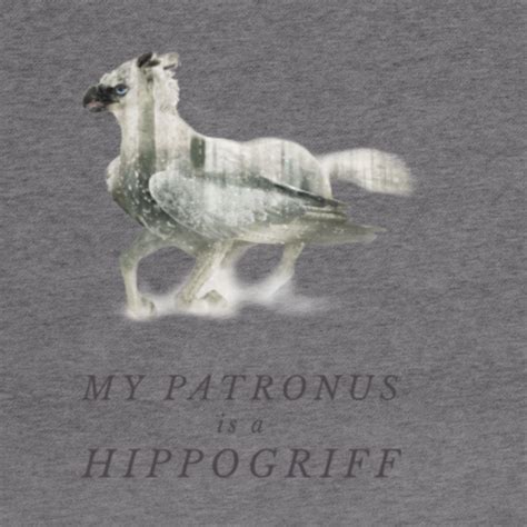 My Patronus Is A Hippogriff Harry Potter Hoodie Teepublic