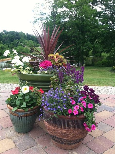 Container Gardening Around The Pool Flowers And