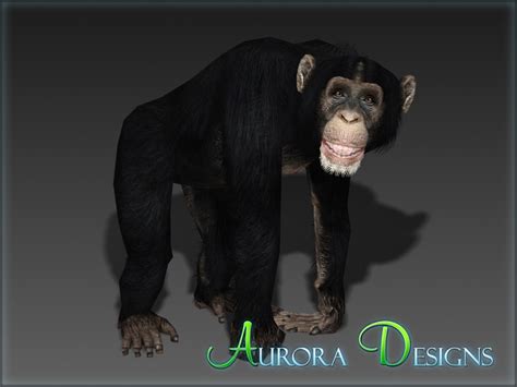 Chimpanzee Aurora Designs Zt2 Download Library Wiki Fandom