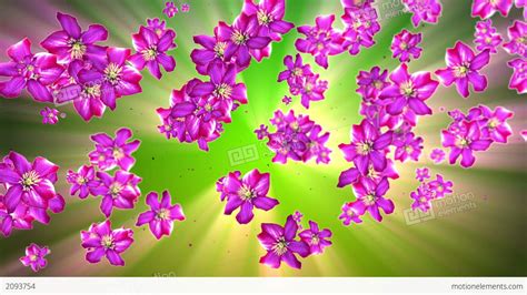 Mother Nature Flower Background Stock Animation 2093754