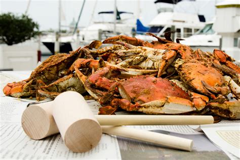 We did not find results for: Pick a Crab | Chesapeake Bay Program