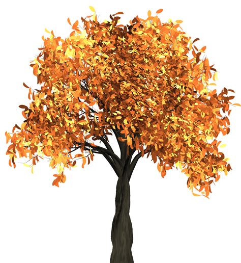 Autumn Tree PNG Image | Autumn trees, Tree, Autumn