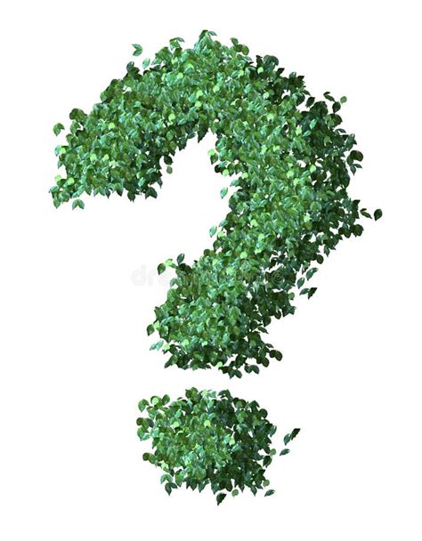 2 Question Mark Made Leaves Free Stock Photos Stockfreeimages