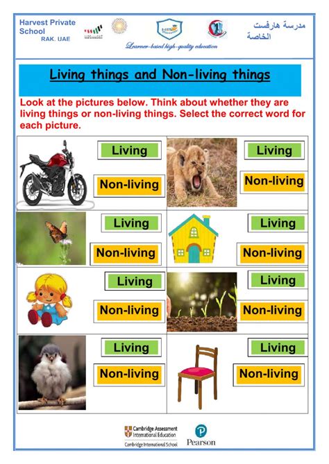 Living And Non Living Things Online Pdf Activity