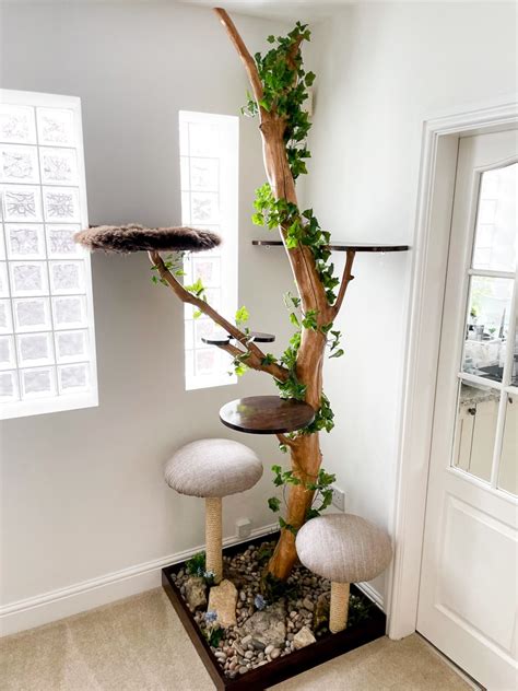 Cat Lovers Learn How To Make A Diy Cat Tree Using Real Branches