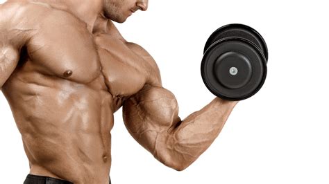 entrenamiento de bíceps para unos brazos más grandes eurolab