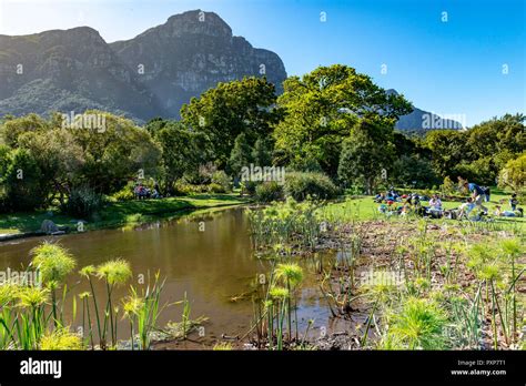 Kirstenbosch Botanical Gardens Newlands Cape Town South Africa Stock