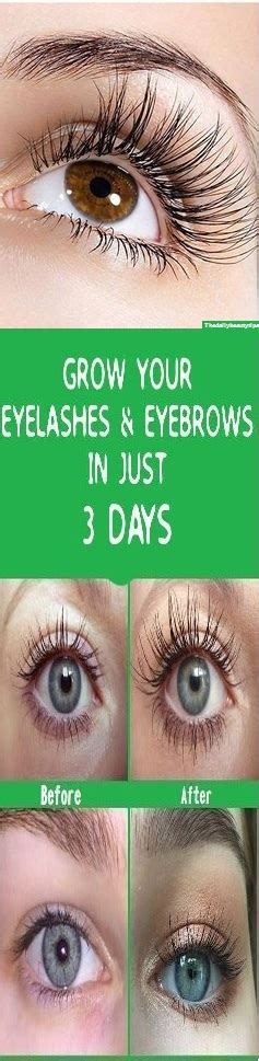 How To Grow Your Eyelashesandeyebrows In Just 3 Days