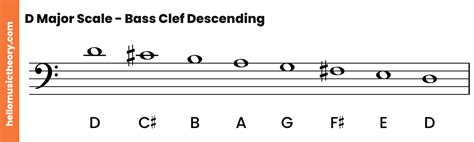 D Major Scale A Complete Guide
