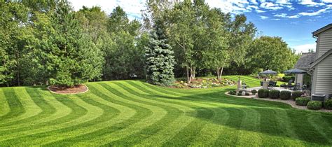 Residential And Commercial Lawn Mowing Lawn And Landscaping In Dc