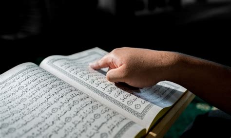 Contoh Mad Arid Dalam Surah Al Qur An