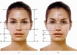 Figure 1 from Evaluation of Facial Beauty Using Anthropometric ...