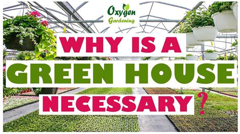 Benefits Of Having A Greenhouse Why Do Plants Grow Better In A