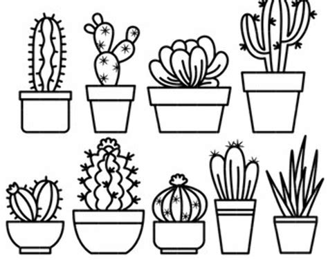 Download High Quality Cactus Clipart White Transparent Png Images Art