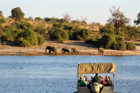 Safari Botswana Le Parc De Chobe Loin De La Foule
