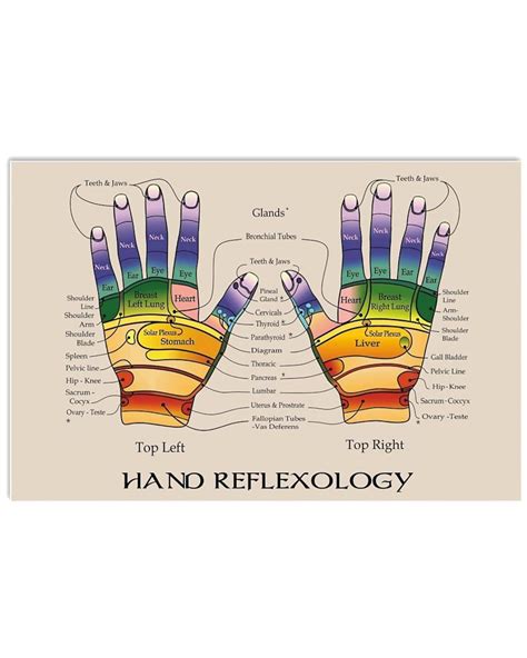 Massage Therapist Hand Reflexology Horizontal Poster Etsy