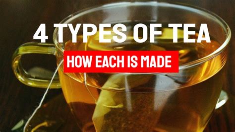 Oolong Tea Benefits 4 Types Of Tea Review White Tea Vs Green Tea Vs