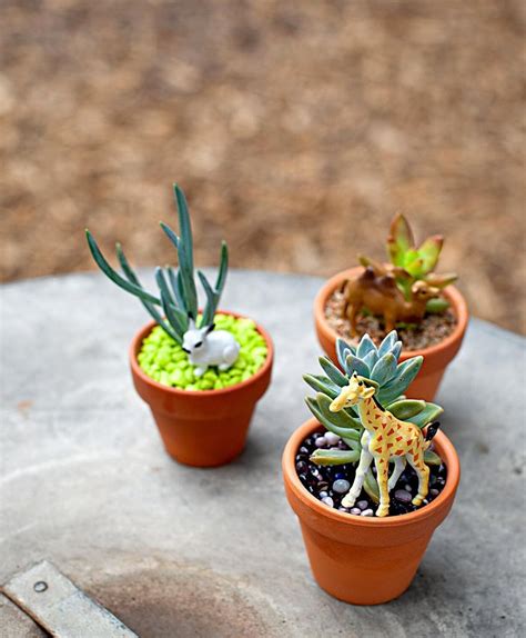 Heres How To Turn Thrift Store Finds Into Adorable Succulent