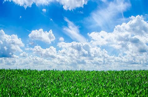 Hd Wallpaper Green Grass Field Under Blue Sky And White Clouds