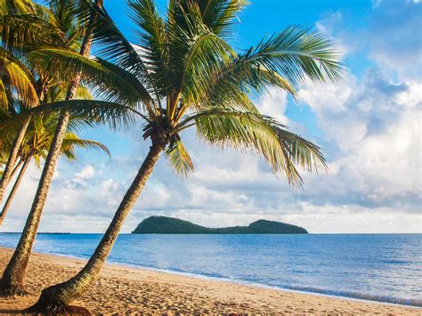 Travelling to the Tropics? Read Our Guide to Cairns | Travel Insider