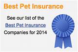 Best Pet Insurance Companies Photos
