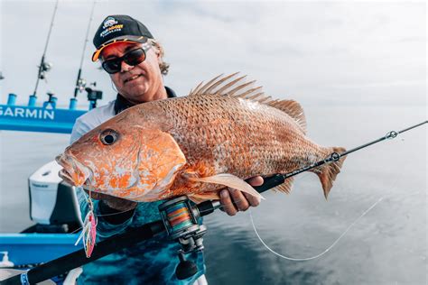 Exploring Remote Areas For Golden Snapper Ryan Moody Fishing