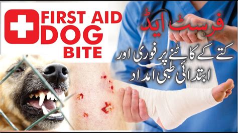 Dog Bite First Aid Complications Treatment Youtube