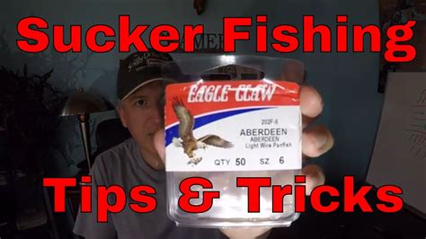 Early Spring Sucker Fishing Tips And Tricks Youtube