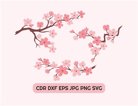 Cherry Blossom Svg Printable Design Instant Download Sakura - Etsy