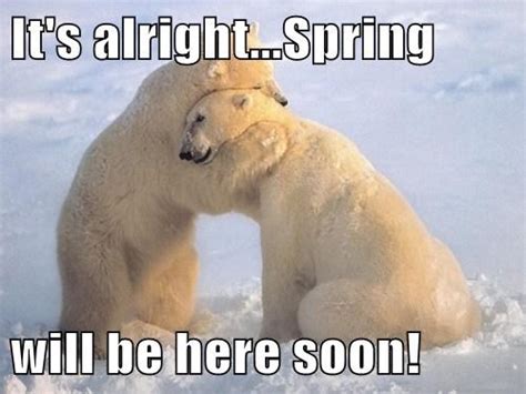 I Love Spring Memes Spring Countdown