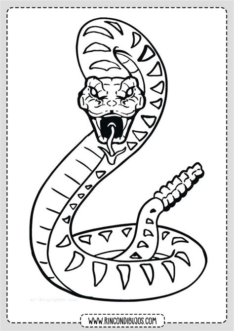 Dibujos De Serpientes Para Colorear Imprimir Y Colorear Serpientes