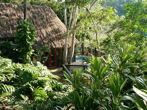 Top 5 Hotels And Resorts With Treehouses In Belize