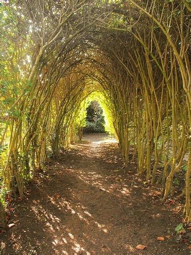 1000 Images About Garden Arches On Pinterest