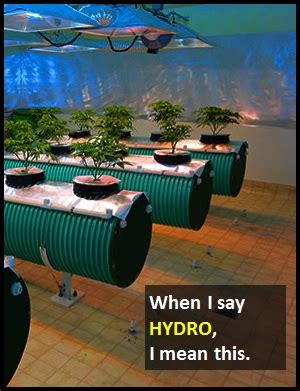 Radiocarbon dating is technique that. HYDRO | What Does HYDRO Mean?