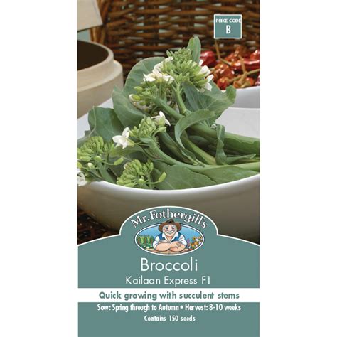 Mr Fothergills Kailaan Broccoli Vegetable Seeds Bunnings Warehouse