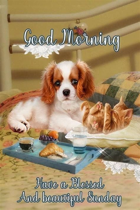 Pin By Susie White On Happy Sunday Good Morning Puppy Good Morning