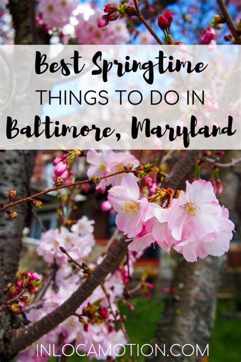 Best Springtime Things To Do In Baltimore Maryland • In Locamotion