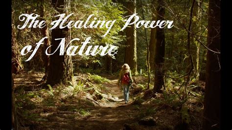 The Healing Power Of Nature A Forest Walk Youtube