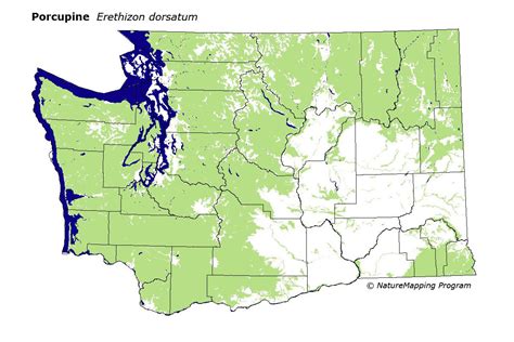 Distribution Map Porcupine Erethizon Dorsatum