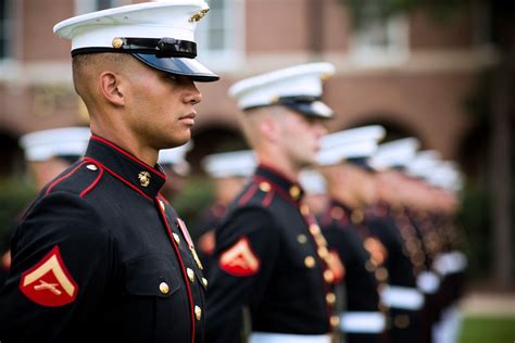 Marines Standing At Attention While Wearing Dress Blues