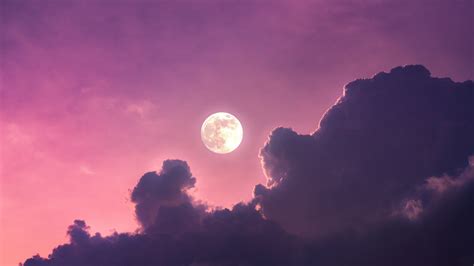 Beautiful Pink Sunset Moon Wallpaper
