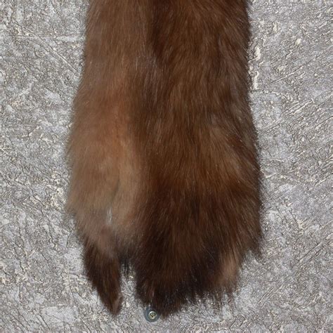 Russian Sable Tanned Fur Pelt For Sale Hide Skin Marten St3443