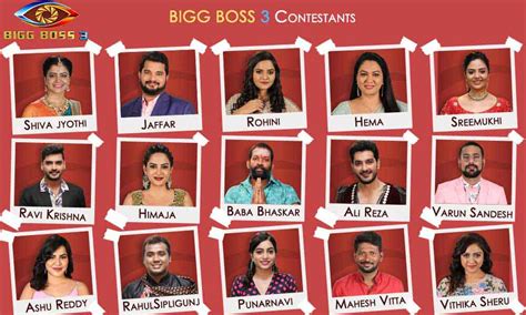 Bigg Boss Telugu Season Contestants And Their Profiles