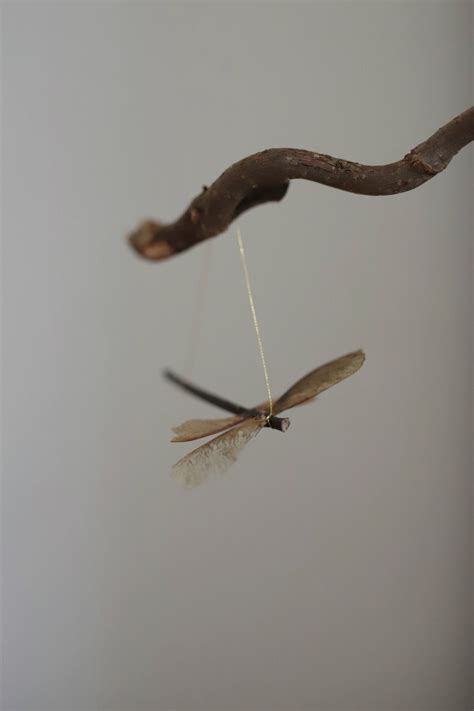 Maple Seed Dragonfly Ornament Dragonfly Ornament Seed Craft Dragon